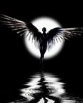 pic for dark angel